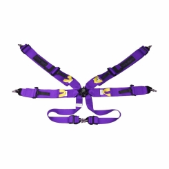 RACING HARNESS (COMP SPEC/6-POINT)